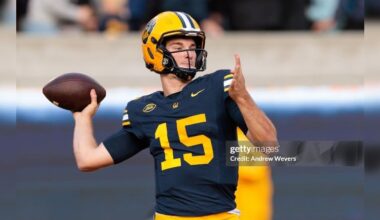 Stock Fernando Mendoza