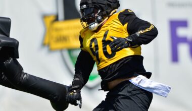 Steelers Cut Ties with Fan Favorite Defensive Lineman