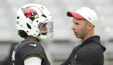 Cardinals Reacts Survey | Revenge of the Birds