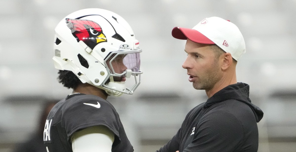 Cardinals Reacts Survey | Revenge of the Birds