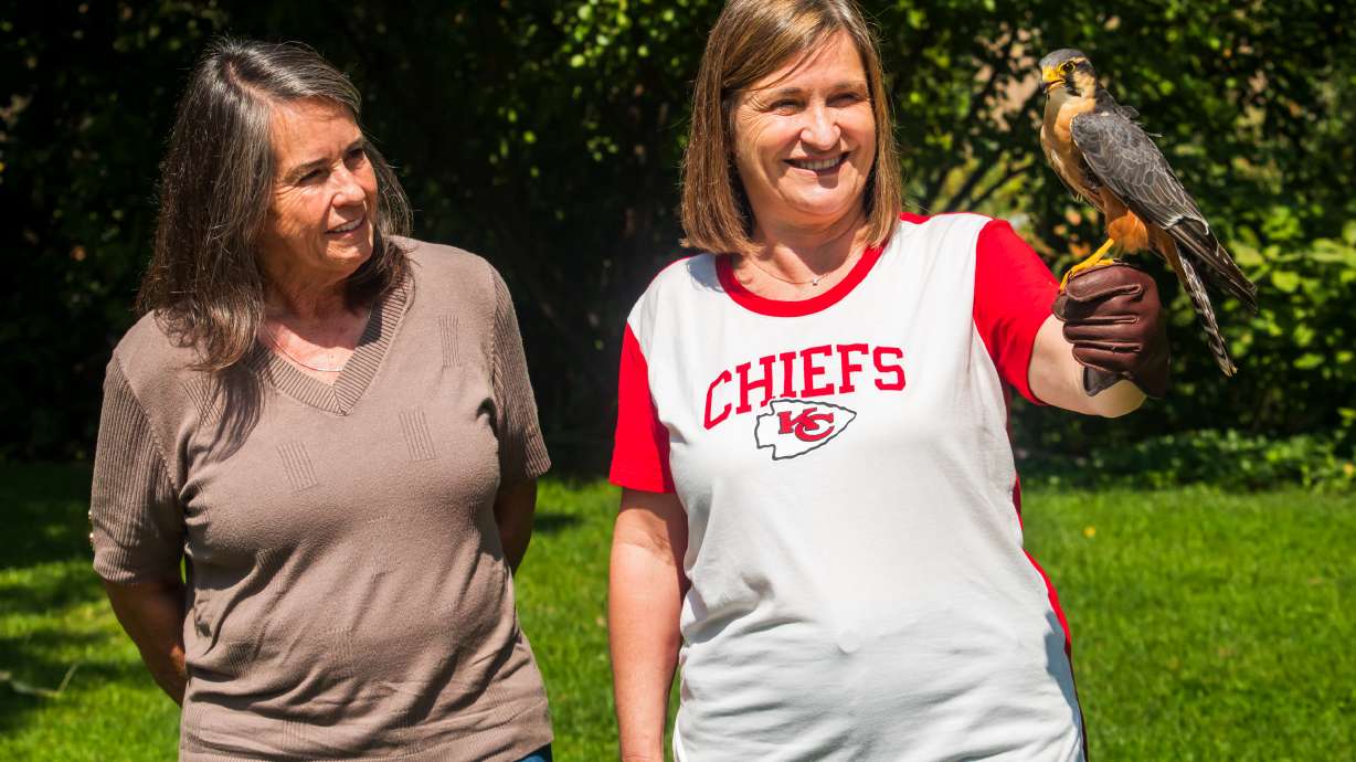 How this Salt Lake falcon won from a 'friendly wager' over a Chiefs-Falcons game