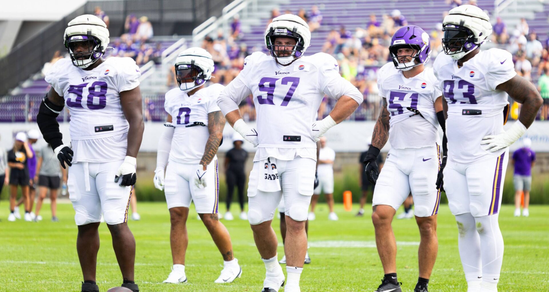 Minnesota's D-Line Will Be Humping and Thumping Their Way To the Quarterback This Year