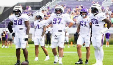 Minnesota's D-Line Will Be Humping and Thumping Their Way To the Quarterback This Year