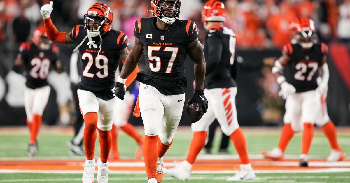 Raiders season preview: Will linebacker group improve in 2025?