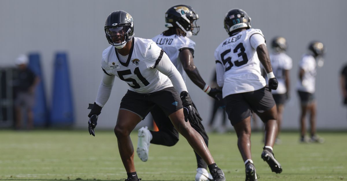 Jacksonville Jaguars 2025 State of the Roster: Linebackers