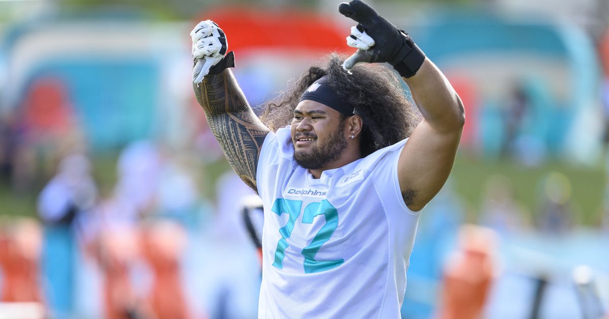 New Miami Dolphins Player You Are Most Excited About