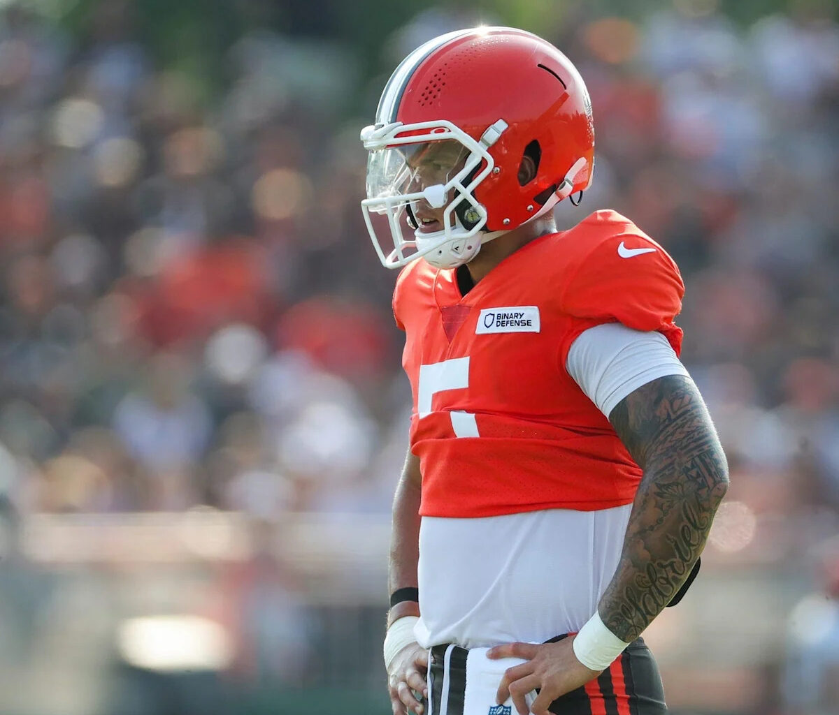 Download app from appStore