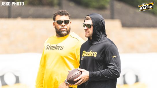 Steelers TJ Watt Cam Heyward