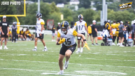 Steelers Ben Skowronek