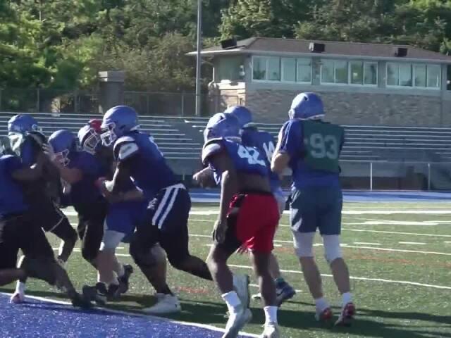 Wisconsin Lutheran Vikings prepare for season with young but determined squad