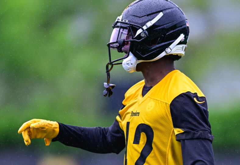 Pittsburgh Steelers CB James Pierre