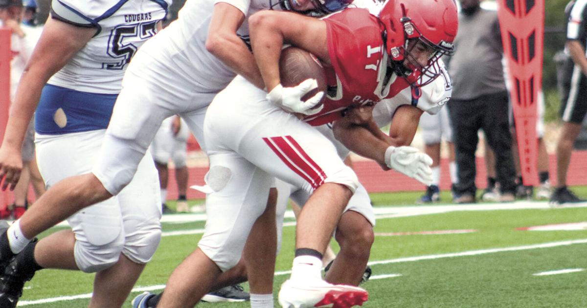 Panthers open campaign with trip to Holland | Sports