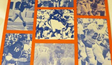 Illini Legends, Lists and Lore: The Bears and Cardinals at Memorial Stadium | Illini sports news