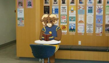 Lions, Rams and football, oh my: How LMU staff prepared for the Los Angeles Rams to take over The Bluff | Sports