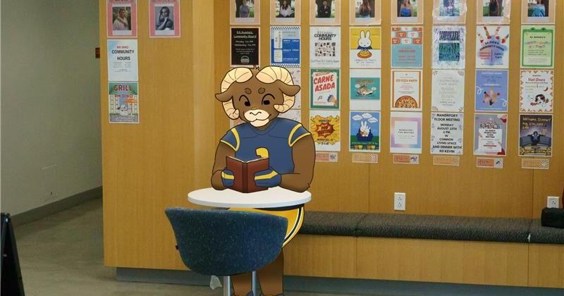 Lions, Rams and football, oh my: How LMU staff prepared for the Los Angeles Rams to take over The Bluff | Sports