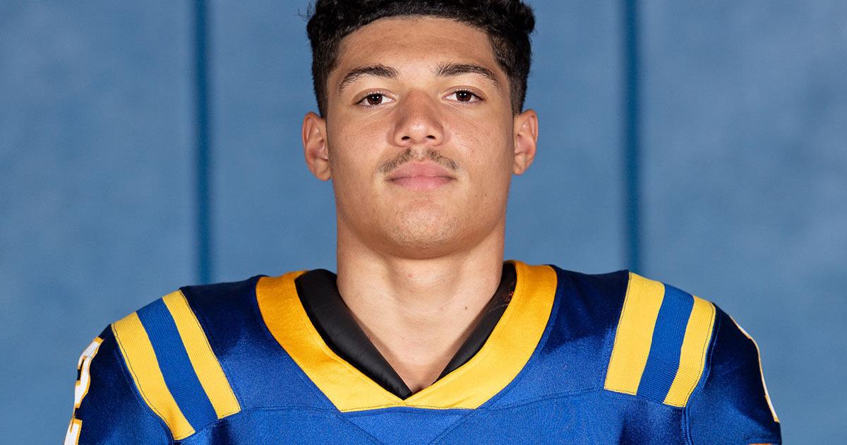 Falcons open season with victory over Cougars | Nvdaily