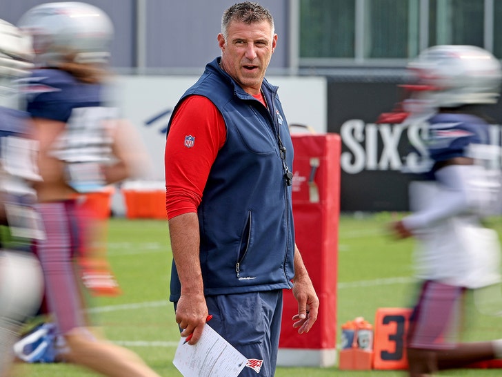 mike vrabel getty 1