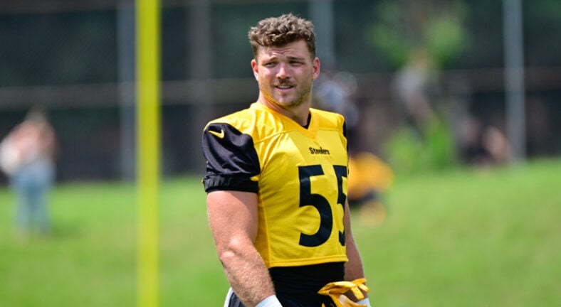 Pittsburgh Steelers LB Cole Holcomb