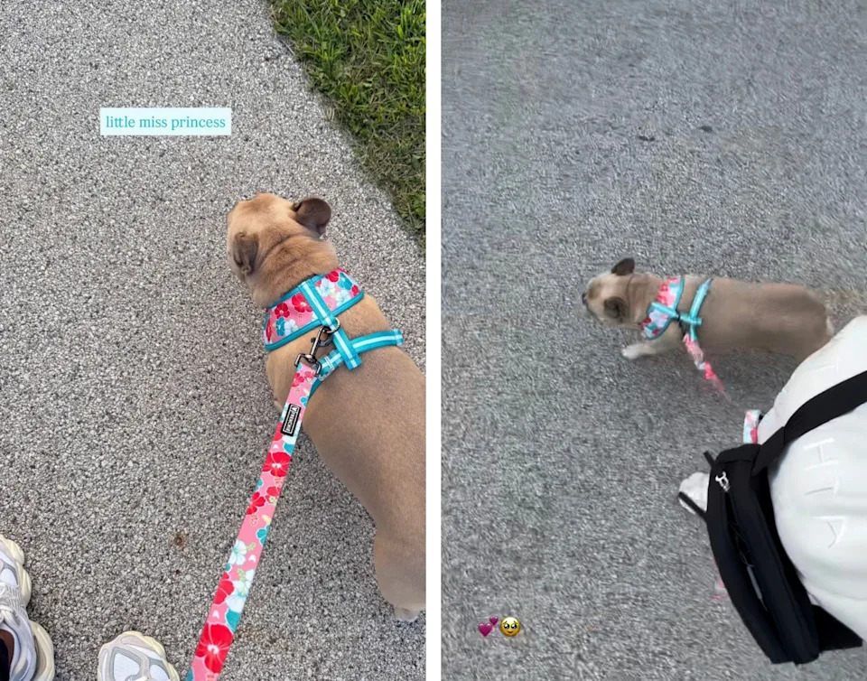 Simone Biles Makes Herself at Home in Chicago as Husband Jonathan Owens Prepares for Start of NFL Season