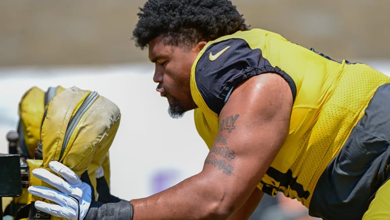 Pittsburgh Steelers DT Derrick Harmon