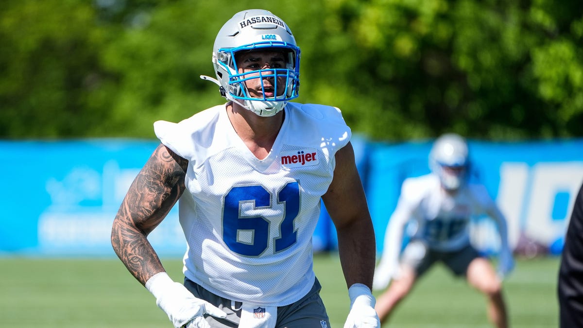 Detroit Lions DE Ahmed Hassanein 'could be (out) a minute' with chest