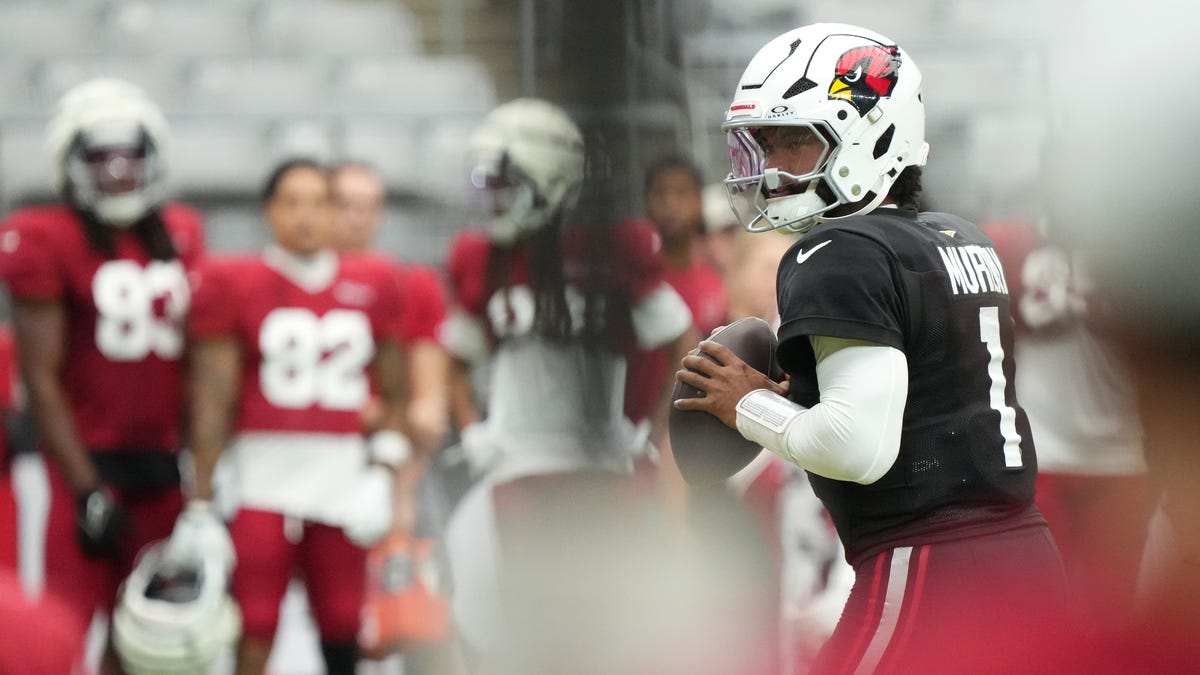 Arizona Cardinals make jump in NFL power rankings before preseason