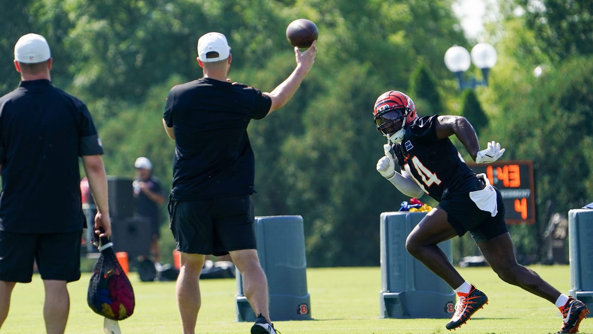 Bengals’ defense spotlighted in bold predictions for 2025 NFL season