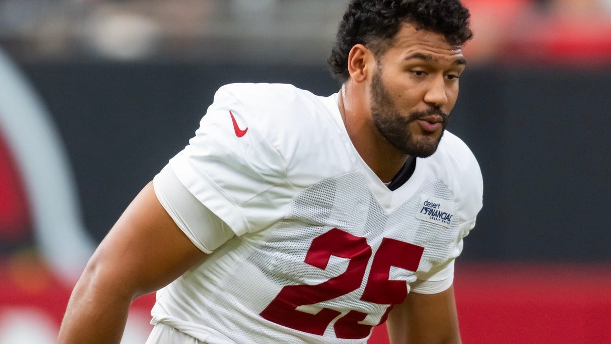 What Cardinals DC Nick Rallis had to say about some of the team's LBs