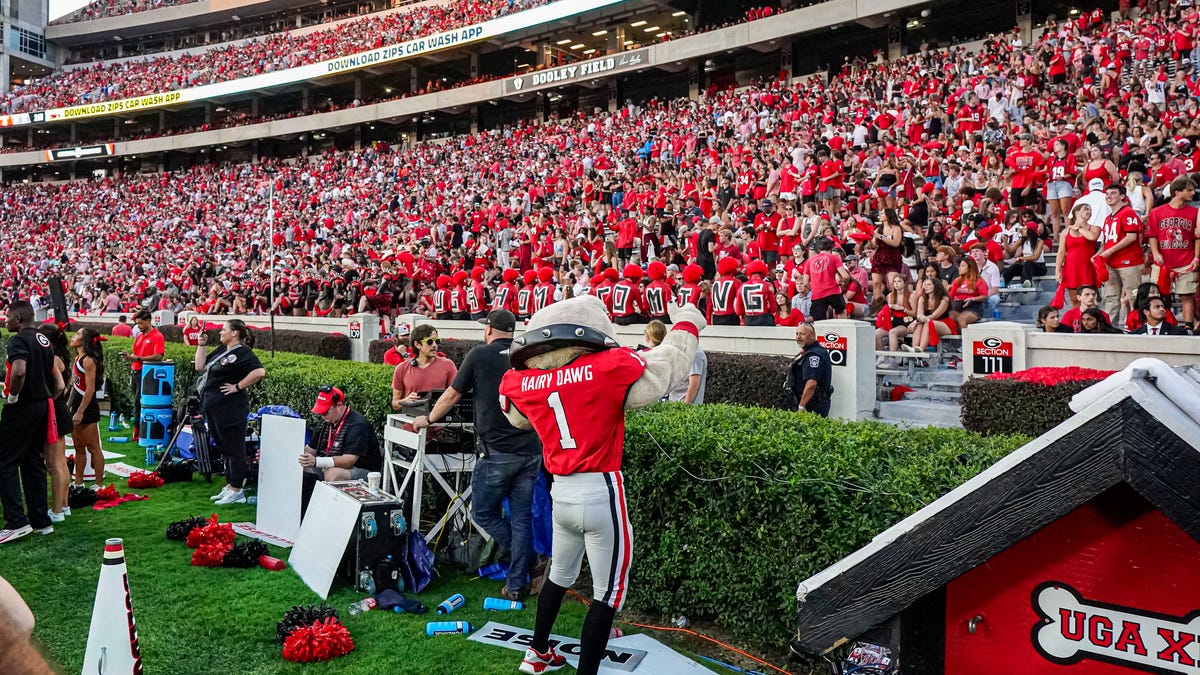 What UGA is doing to curb students re-selling Georgia football tickets