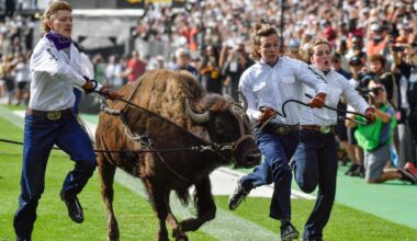 Ralphie VI, Colorado football's live buffalo mascot, is retiring