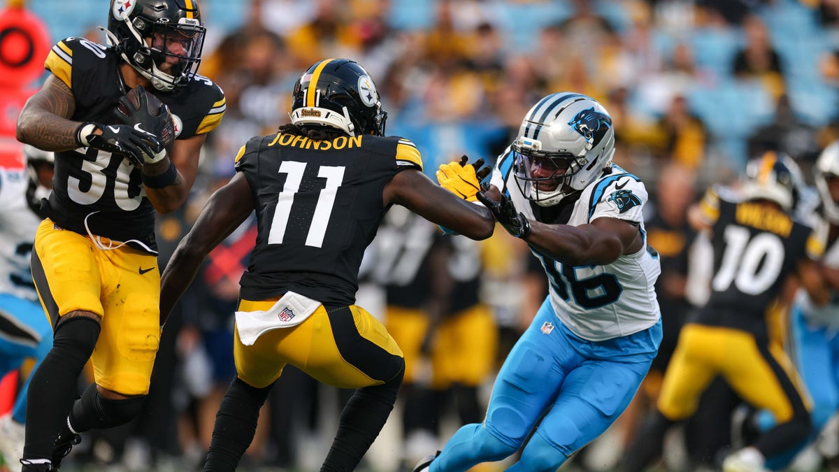 Steelers release WR Brandon Johnson from IR with injury settlement