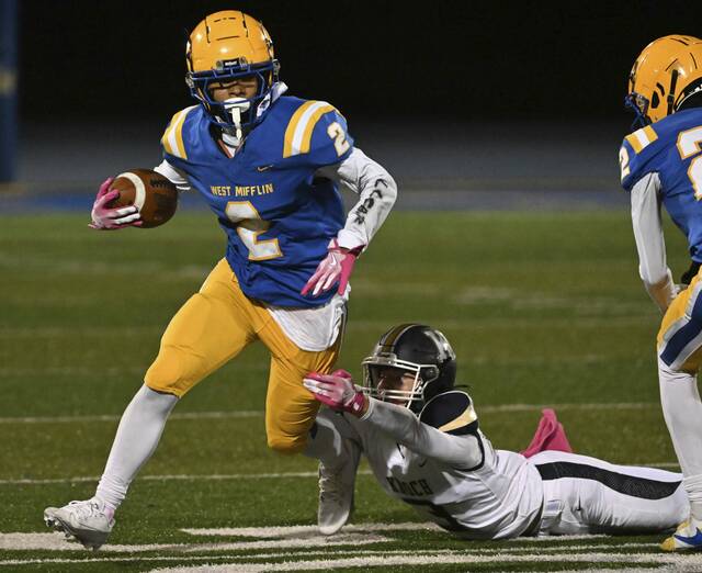 8739420_web1_vnd-KnochWM13-101924 8739420_web1_vnd-KnochWM13-101924