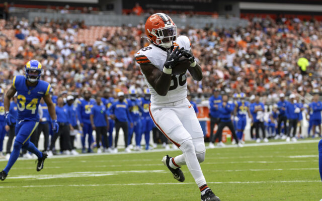 McKinley’s Fannin Jr. Grabs 1st NFL TD In Browns 19-17 Win Over Rams