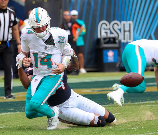 Chicago Bears defensive end Austin Booker (94) sacks Miami Dolphins quarterback Quinn Ewers (14) in the second half during a game at Soldier Field on Aug. 10, 2025, in Chicago. The sack resulted in a fumble with Chicago Bears linebacker Power Echols (57) recovering the ball. The game ended in a 24-24 tie. (Stacey Wescott/Chicago Tribune)