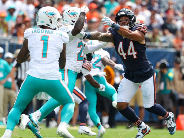 Chicago Bears linebacker Noah Sewell (44) pressures Miami Dolphins quarterback Tua Tagovailoa (1) in the first quarter of a game at Soldier Field on Aug. 10, 2025, in Chicago. (Stacey Wescott/Chicago Tribune)