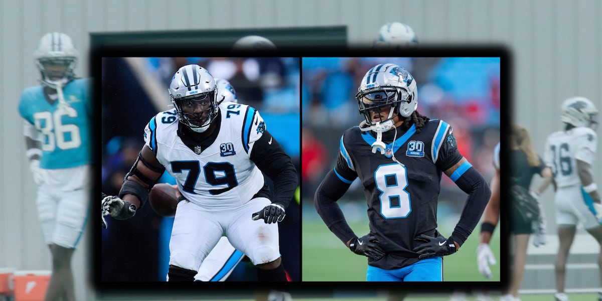 Panthers stars got in fight on last day of training camp, per report