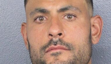 Dolphins assistant coach Ryan Crow faces domestic battery charge