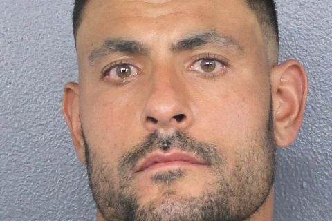 Dolphins assistant coach Ryan Crow faces domestic battery charge