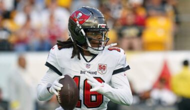 Teddy Bridgewater throws a pair of TDs in Bucs’ win over Steelers - Tampa Bay Times