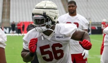 Arizona Cardinals, defense...