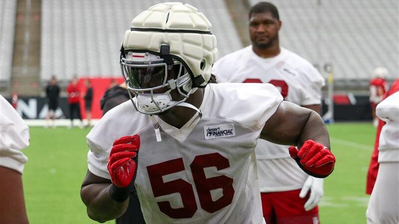 Arizona Cardinals, defense...