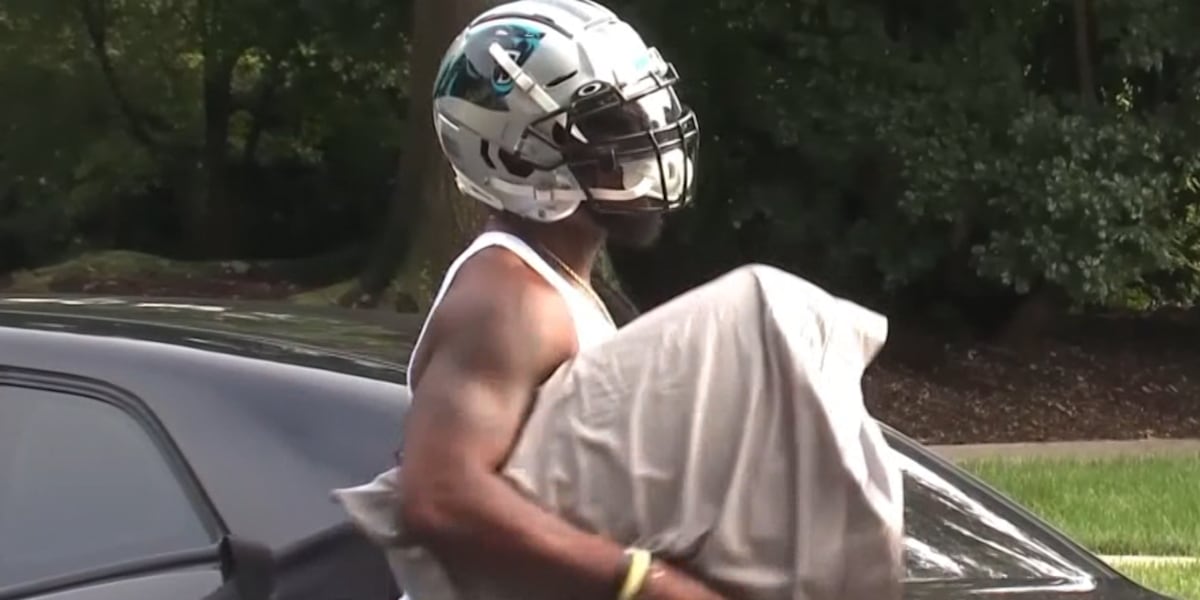 Former Panthers player arrested on felony charge, reports say