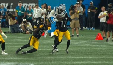 Positional Grades Steelers Panthers