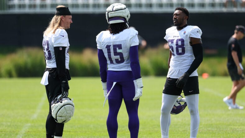 Andrew Van Ginkel, Minnesota Vikings