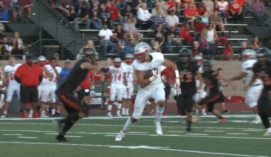 Central Alumni Taylor released by Cincinnati Bengals