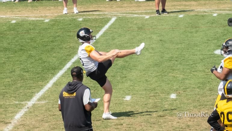 Cameron Johnston Steelers punter punters Corliss Waitman competition