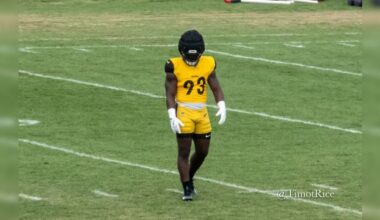 Steelers Mark Robinson