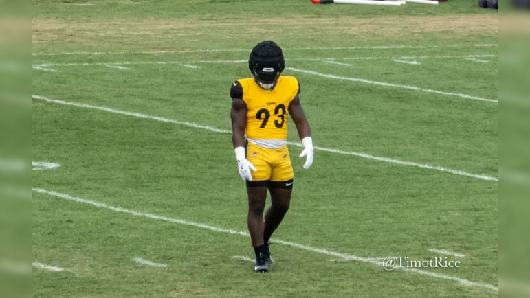 Steelers Mark Robinson