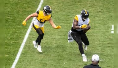 'He's Like A Human Cheat Code': Darnell Washington Impressing Steelers' Defense
