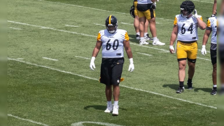 Dylan Cook Steelers sleeper